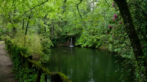 Geres Forest and Mountain Video stock 188506855