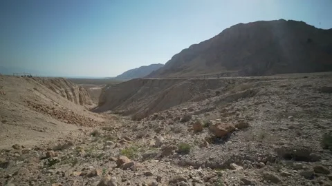 Gerico, Desert, Palestine Video stock 144758057