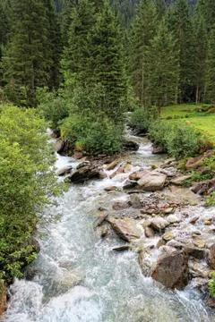 Gerlos river flowing through pine tree forest in european alps/ Zillertal (Au Foto stock