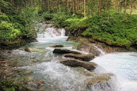 Gerlos river flowing through pine tree forest in european alps/ Zillertal (Au Stock Photos