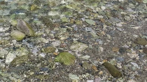 Gerlos stream flowing. rocks in ground of river. Video stock 112934143