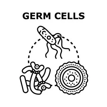 Germ cells concept with microscopic organisms and reproductive elements Stock Illustration