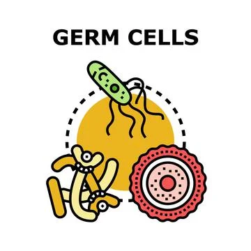 Germ cells concept with microscopic organisms and reproductive elements 库存插图