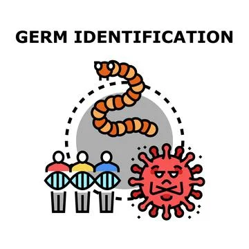 Germ identification concept detecting pathogen and human dna Stock Illustration