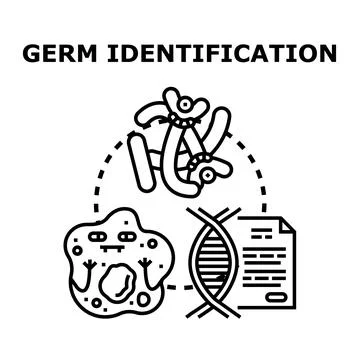Germ identification process studying microorganism genetics Stock Illustration