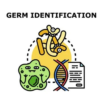 Germ identification process studying microorganism genetics Stock Illustration