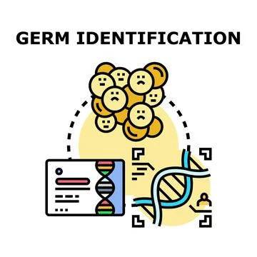 Germ identification process using dna research and analysis Stock Illustration