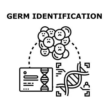 Germ identification process using dna research and analysis Stock Illustration