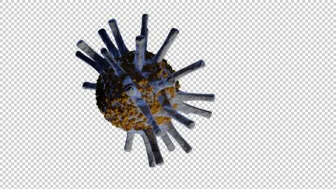Germ Transparent Bkgrd Stock Illustration