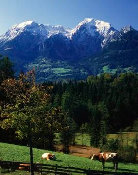 German Alps Stock Photos