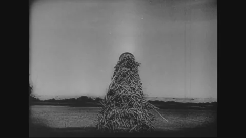 GERMAN ATLANTIC WALL - CIRCA 1944: Coastal artillery guns (captured footage) Vidéo 338258588