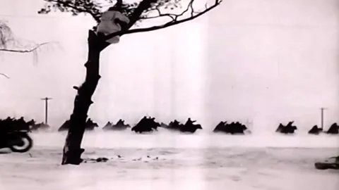German attack against Soviet forces near Moscow Stock Footage 330263931