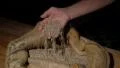 german baker checking wheat grains spotlight 4k or 4k+ Resolution