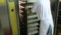 german baker pushes large traditional bread into an oven 4k 11713 4k or 4k+ Resolution