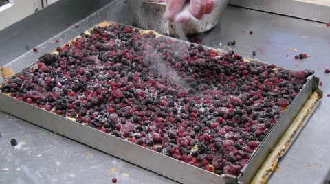 German baker sprinkle sugar over a fruitcake Stock Footage 56516353