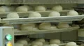 german bakery roll bun on conveyor belt elevator 4k 11668 4k or 4k+ Resolution