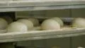 german bakery roll bun on conveyor belt elevator close 4k 11675 4k or 4k+ Resolution