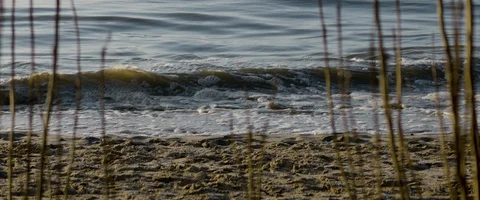 German beach section Stock Footage 127414056