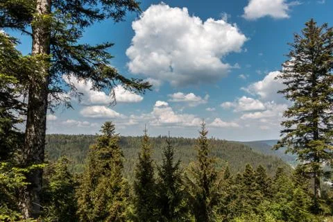 German countryside with forests, fields and meadows Stock Photos