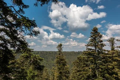 German countryside with forests, fields and meadows Stock Photos