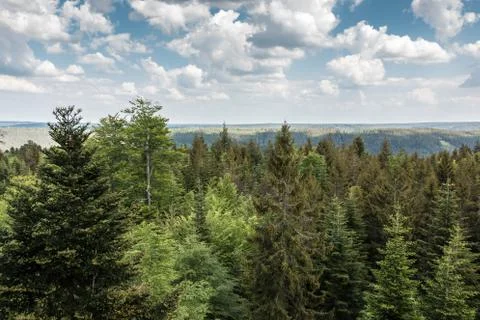 German countryside with forests, fields and meadows Stock Photos