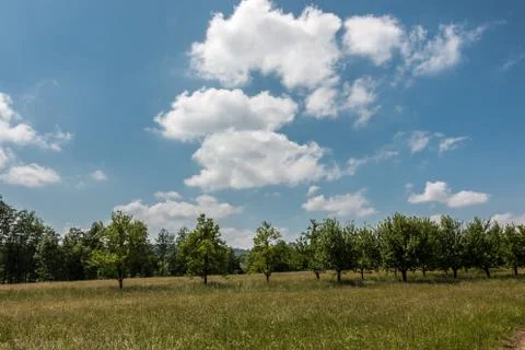 German countryside with forests, fields and meadows Stock Photos