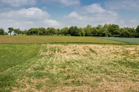 German countryside with forests, fields and meadows Stock Photos