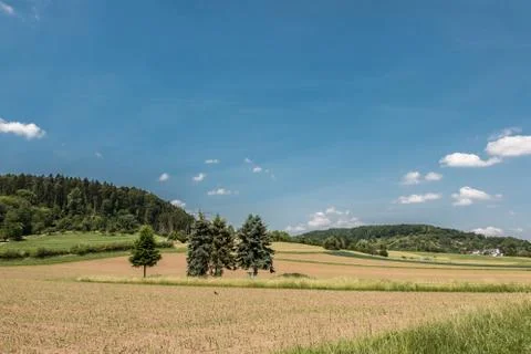 German countryside with forests, fields and meadows 库存照片