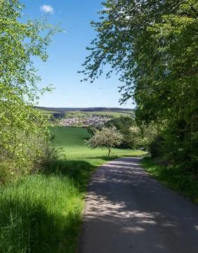 German countryside of saarland in spring with blossoming fruit trees and fr.. Stock Photos