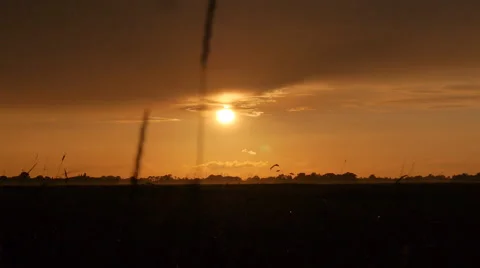 German countryside at sunset - Camera slide 스톡 동영상 68979319