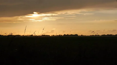 German countryside at sunset - Camera slide 動画素材 68979342