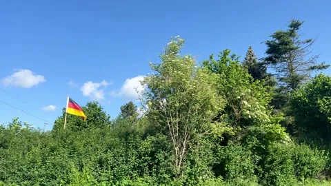 A German flag fluttering in the wind in green area on a sunny day Stock Footage 276357439