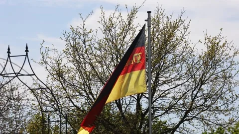 German flag with gothic script waving in the wind in front of a tree and blue 스톡 동영상 333586594