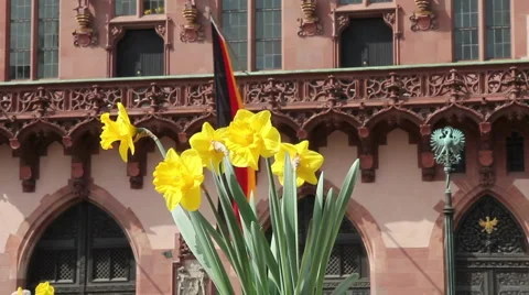 German flag springtime Video stock 2975069