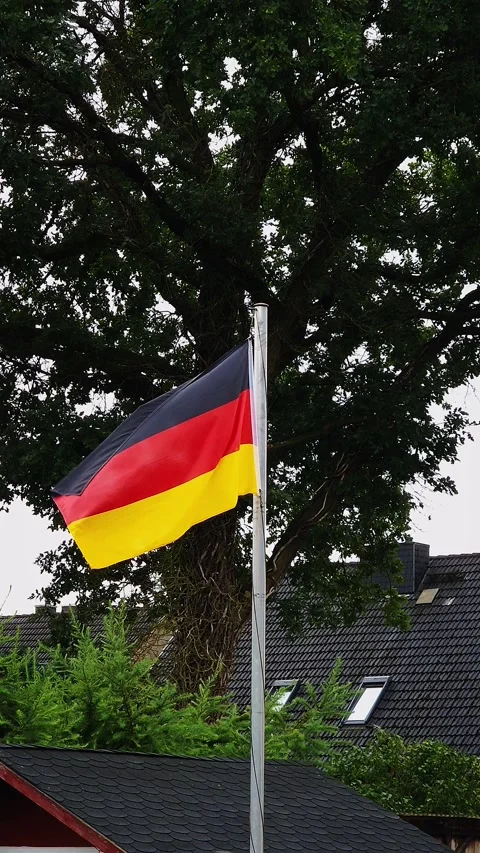 German Flag Waving on a Flagpole with Tree in Background Stock Footage 285647473