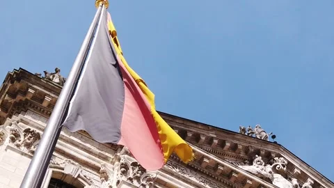 German Flag Waving in Front of Historic Government Building in Berlin 動画素材 325769963