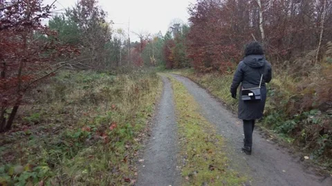 German Forest in the Fall Season - #2 Stock Footage 165286687