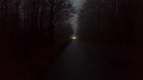 German Forest at night time #5 Stock Footage 165744946