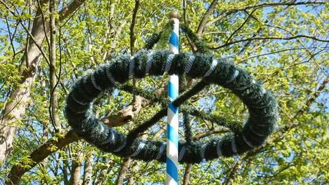 German maypole or may tree decorated with wreath and traditional bavarian blu Fotos Stock