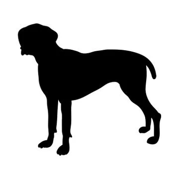 German Pointer Dog Silhouette Illustrazione stock