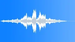 German police car siren passing by 0001Sound Effect