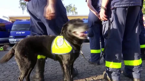 German rescue teams get ready to help Stock Video Pond5