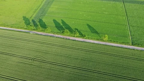 German settlement Video stock 155920474