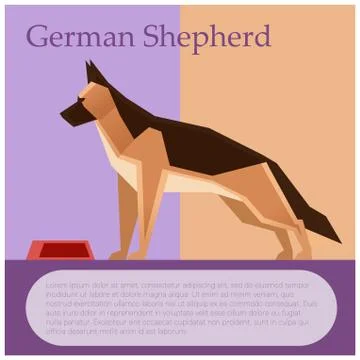 German shepherd colourful postcard Stock Illustration