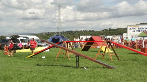 German shepherd dog on agility course display at a country fair in Lancashire Stock Footage 56639786