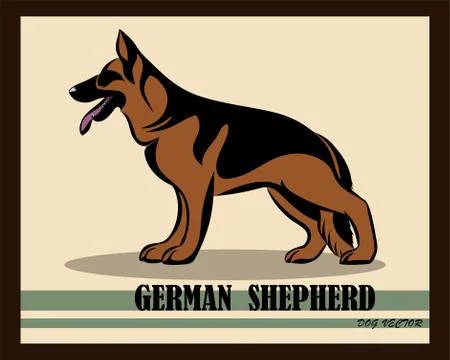 German Shepherd Dog color vector eps 10 Stock Illustration