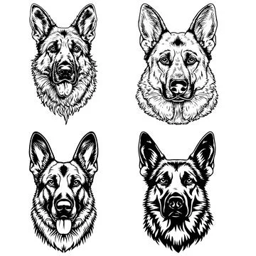German Shepherd dog face set SVG file for cutting and sublimation Stock Illustration