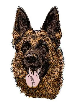 German shepherd dog head Stock Illustration