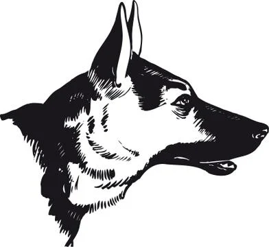 German shepherd dog, Retro Vector Illustration Stock Illustration