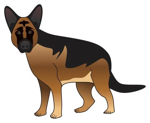 German shepherd dog vector drawing on isolated background cute puppy love animal Stock Illustration